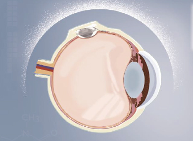 球友会QY(千亿)体育公司官网